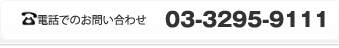 お電話でのお問い合わせ 03-3295-9111